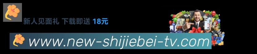 世界杯直播品牌故事